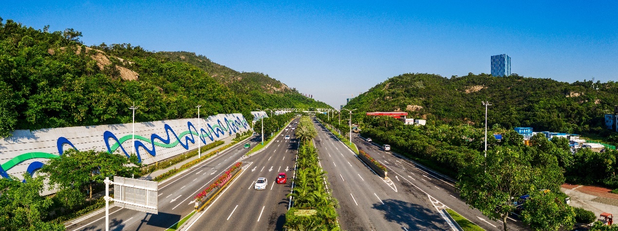 麻豆网
股份有限公司