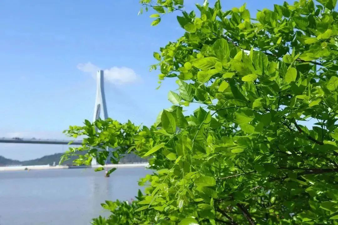 1688008767621012.jpg 5.jpg