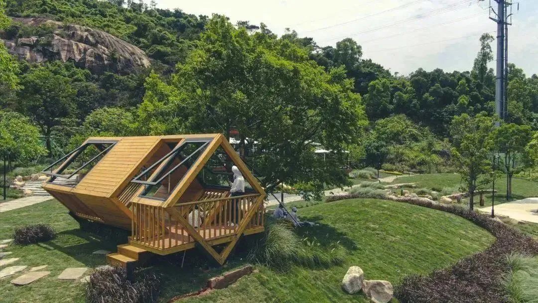 1688008939562370.jpg 9.jpg