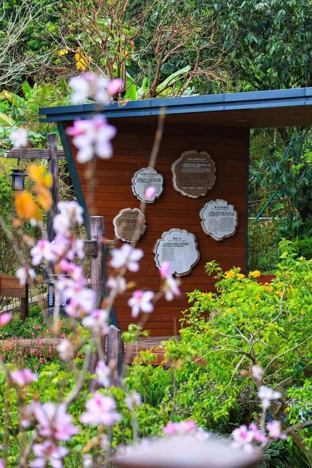 1688009084326150.jpg 15.jpg