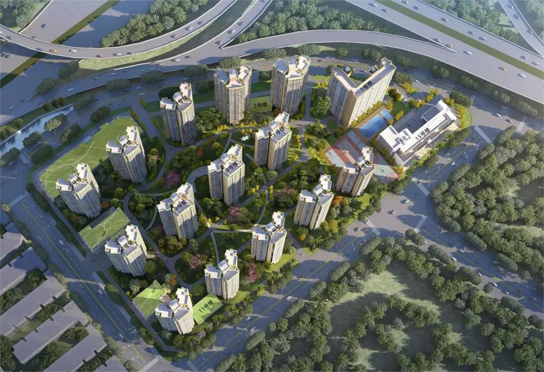 1692935298454172.jpg 5.jpg