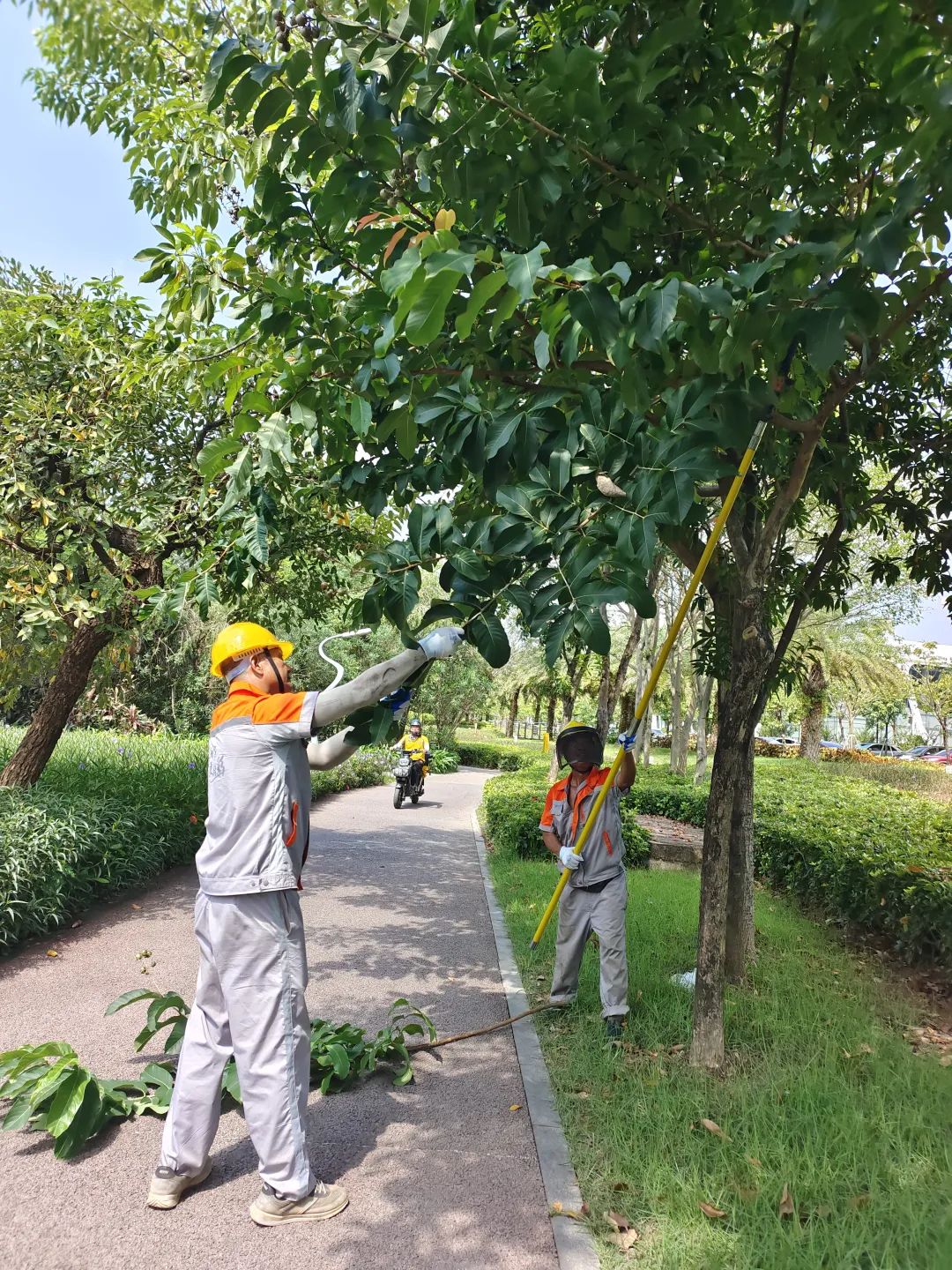 1695367971203200.jpg 2.jpg