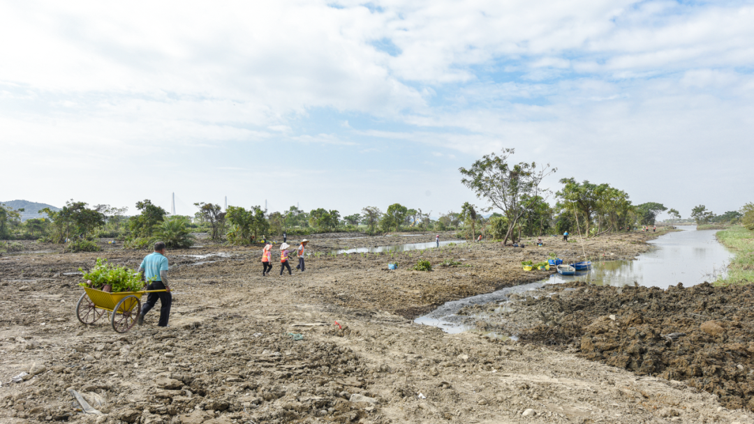 1730967905621708.png 8.png