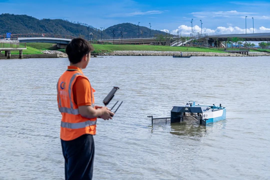 1733475392990496.jpg 3.jpg